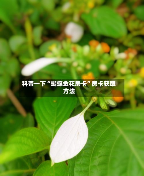 科普一下“蝴蝶金花房卡”房卡获取方法-第2张图片