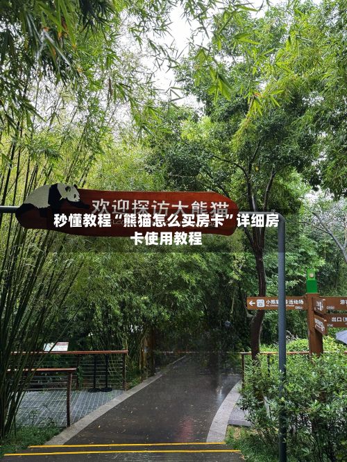 秒懂教程“熊猫怎么买房卡	”详细房卡使用教程-第3张图片