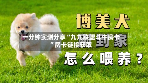 一分钟实测分享“九九联盟斗牛房卡	”房卡链接获取-第2张图片