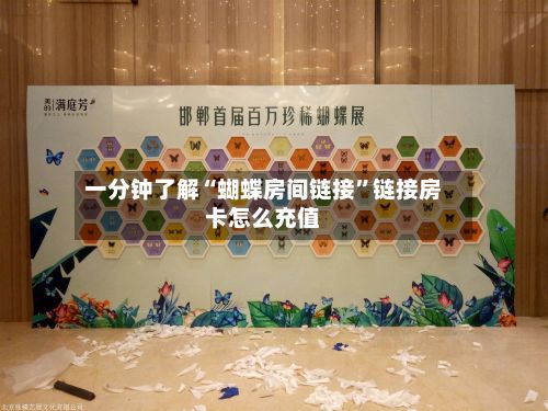 一分钟了解“蝴蝶房间链接”链接房卡怎么充值-第2张图片