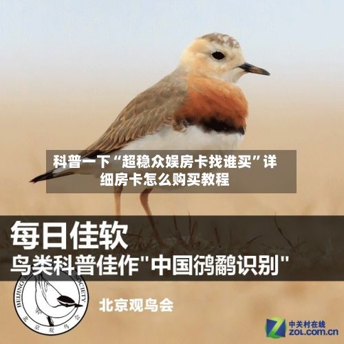 科普一下“超稳众娱房卡找谁买	”详细房卡怎么购买教程-第2张图片