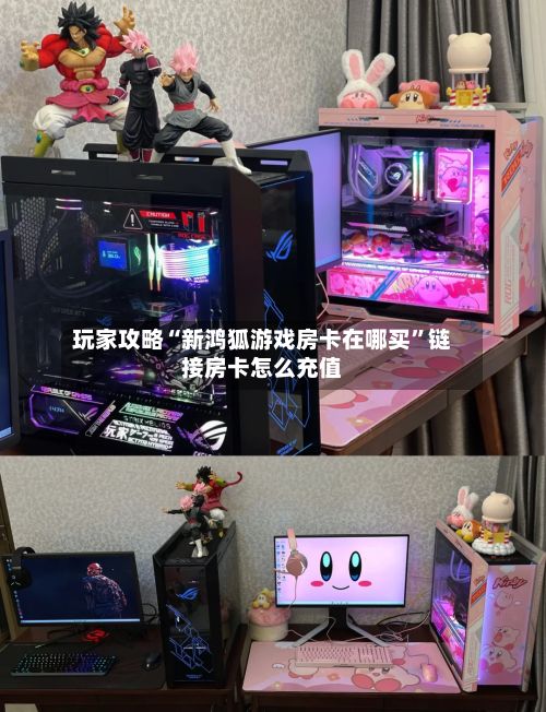 玩家攻略“新鸿狐游戏房卡在哪买”链接房卡怎么充值-第2张图片