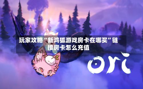 玩家攻略“新鸿狐游戏房卡在哪买”链接房卡怎么充值-第3张图片