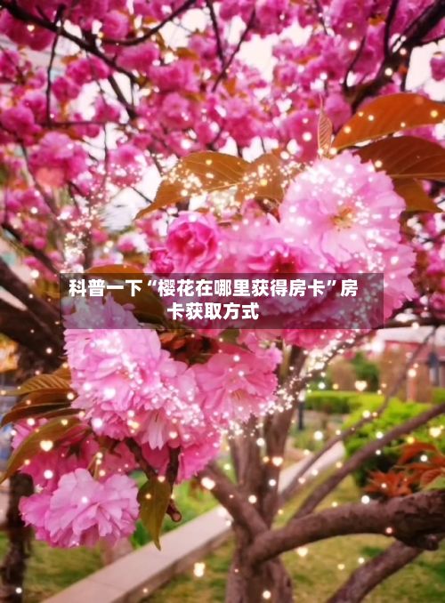 科普一下“樱花在哪里获得房卡”房卡获取方式-第2张图片