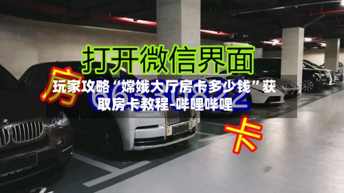 玩家攻略“嫦娥大厅房卡多少钱	”获取房卡教程-哔哩哔哩-第3张图片
