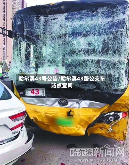 哈尔滨43号公告/哈尔滨43路公交车站点查询
