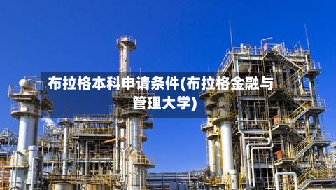 布拉格本科申请条件(布拉格金融与管理大学)