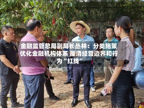 金融监管总局副局长丛林：分类施策优化金融机构体系 厘清经营边界和行为“红线	”-第3张图片