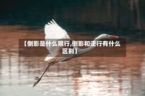【倒影是什么限行,倒影和逆行有什么区别】