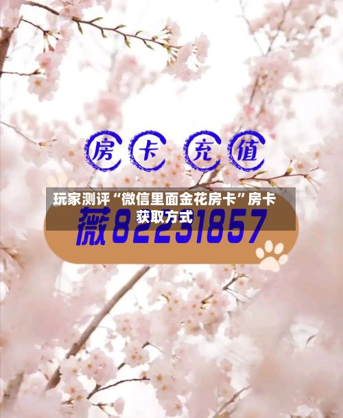 玩家测评“微信里面金花房卡”房卡获取方式-第2张图片