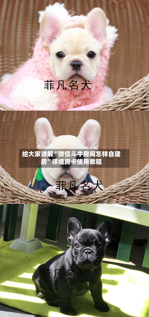给大家讲解“微信斗牛房间怎样自建房”详细房卡使用教程-第2张图片