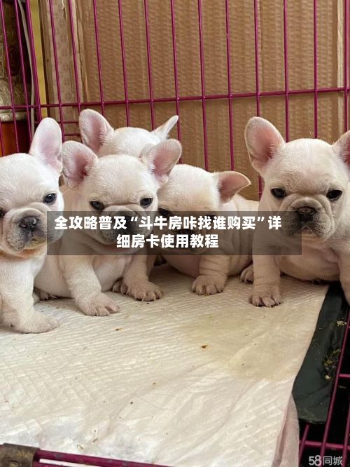 全攻略普及“斗牛房咔找谁购买”详细房卡使用教程-第3张图片