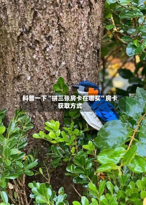 科普一下“拼三张房卡在哪买	”房卡获取方式-第2张图片