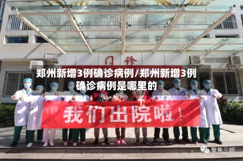 郑州新增3例确诊病例/郑州新增3例确诊病例是哪里的-第2张图片