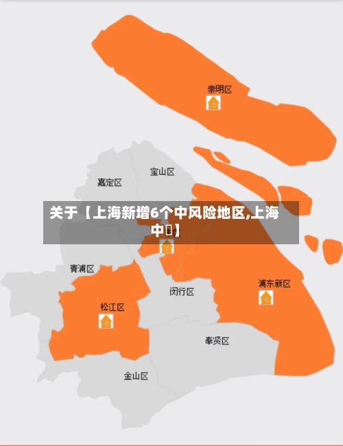 关于【上海新增6个中风险地区,上海中犇】