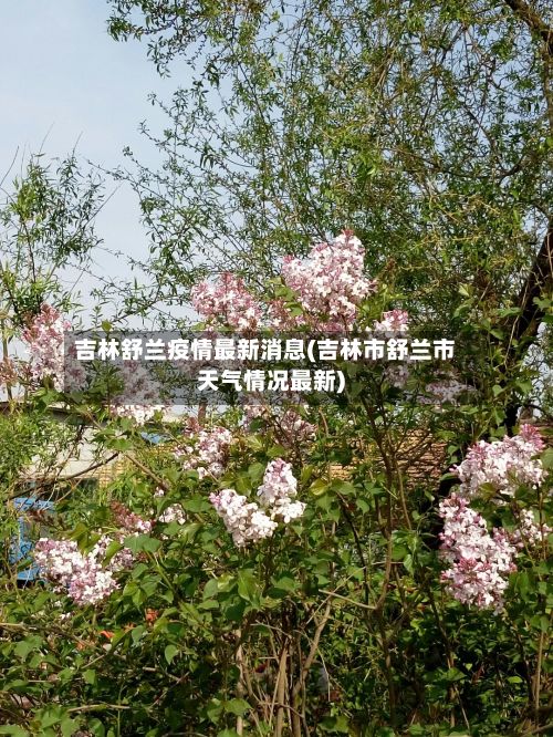 吉林舒兰疫情最新消息(吉林市舒兰市天气情况最新)