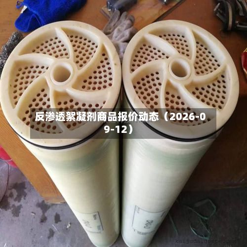 反渗透絮凝剂商品报价动态(2026-09-12)-第1张图片