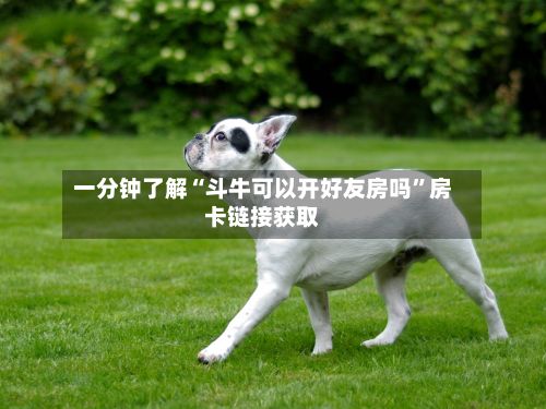 一分钟了解“斗牛可以开好友房吗”房卡链接获取-第2张图片