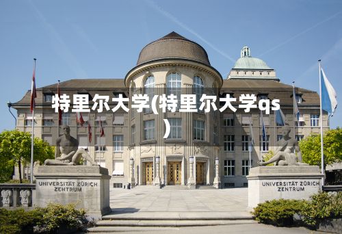 特里尔大学(特里尔大学qs)-第3张图片
