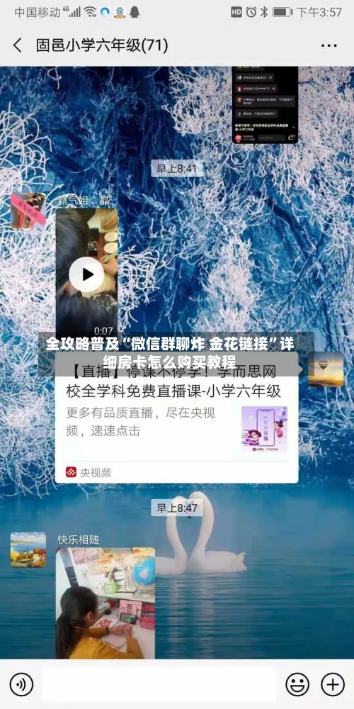 全攻略普及“微信群聊炸 金花链接”详细房卡怎么购买教程-第3张图片