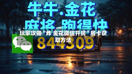 玩家攻略“炸 金花微信开房”房卡获取方法-第3张图片