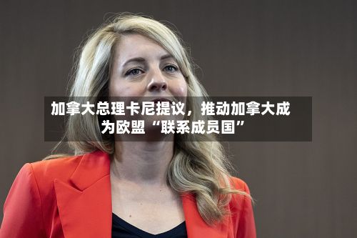 加拿大总理卡尼提议	，推动加拿大成为欧盟 “联系成员国”-第3张图片