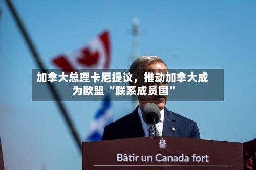 加拿大总理卡尼提议，推动加拿大成为欧盟 “联系成员国”-第2张图片