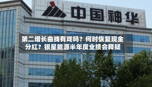 第二增长曲线有戏吗?何时恢复现金分红?银星能源半年度业绩会释疑