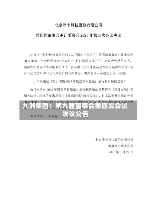 九洲集团：第九届董事会第四次会议决议公告