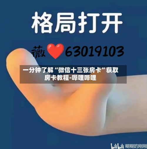 一分钟了解“微信十三张房卡”获取房卡教程-哔哩哔哩-第2张图片