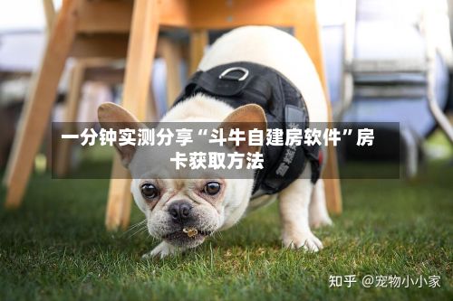 一分钟实测分享“斗牛自建房软件”房卡获取方法-第2张图片