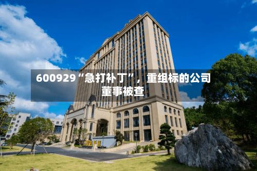 600929“急打补丁	”，重组标的公司董事被查-第2张图片