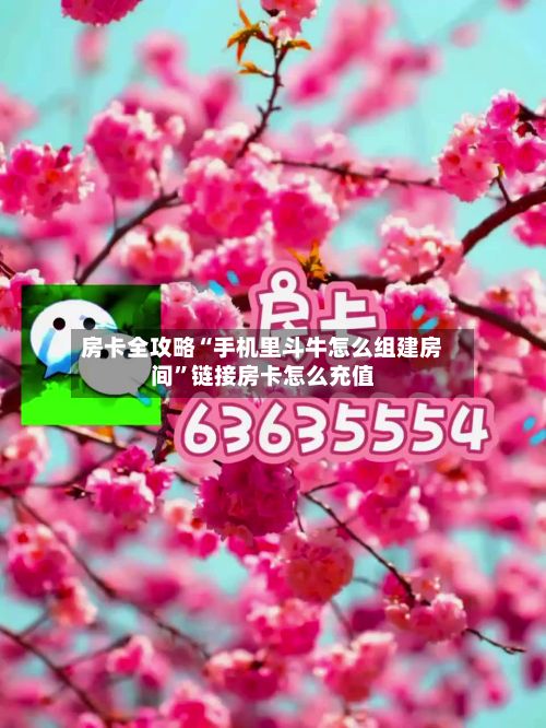 房卡全攻略“手机里斗牛怎么组建房间”链接房卡怎么充值-第3张图片