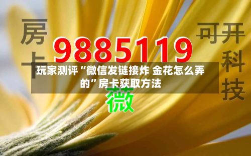 玩家测评“微信发链接炸 金花怎么弄的	”房卡获取方法-第3张图片
