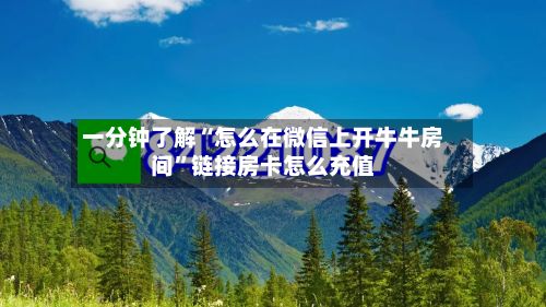 一分钟了解“怎么在微信上开牛牛房间”链接房卡怎么充值-第2张图片
