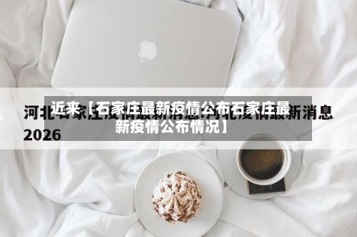 近来【石家庄最新疫情公布石家庄最新疫情公布情况】-第2张图片