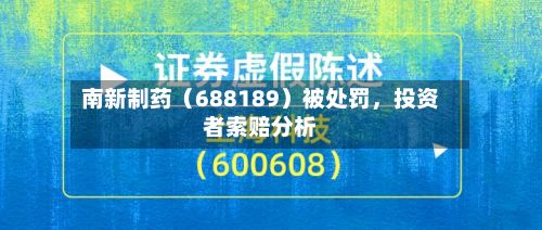 南新制药（688189）被处罚，投资者索赔分析-第2张图片