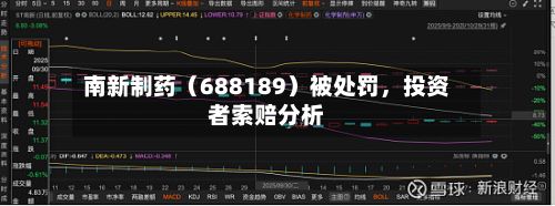 南新制药（688189）被处罚	，投资者索赔分析-第3张图片