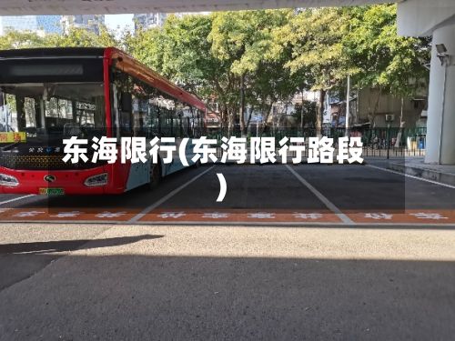 东海限行(东海限行路段)