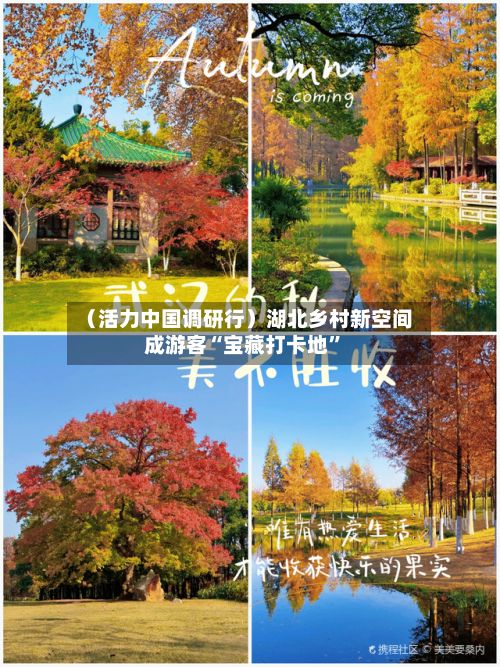 （活力中国调研行）湖北乡村新空间成游客“宝藏打卡地”-第2张图片