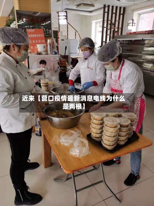 近来【营口疫情最新消息电线为什么是两根】-第2张图片