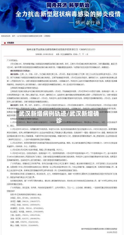 武汉新增病例轨迹/武汉新增确诊-第3张图片