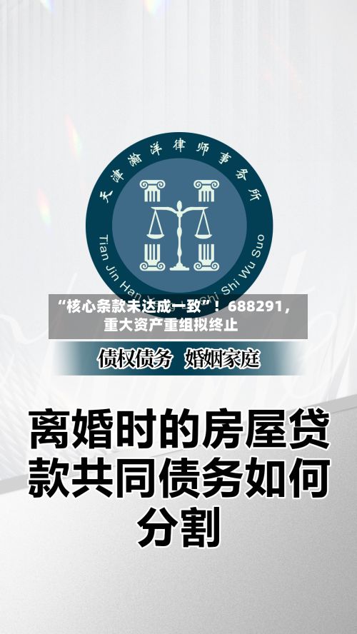 “核心条款未达成一致	”！688291，重大资产重组拟终止-第2张图片