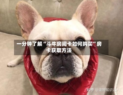 一分钟了解“斗牛房间卡如何购买	”房卡获取方法-第3张图片