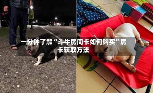 一分钟了解“斗牛房间卡如何购买”房卡获取方法-第2张图片