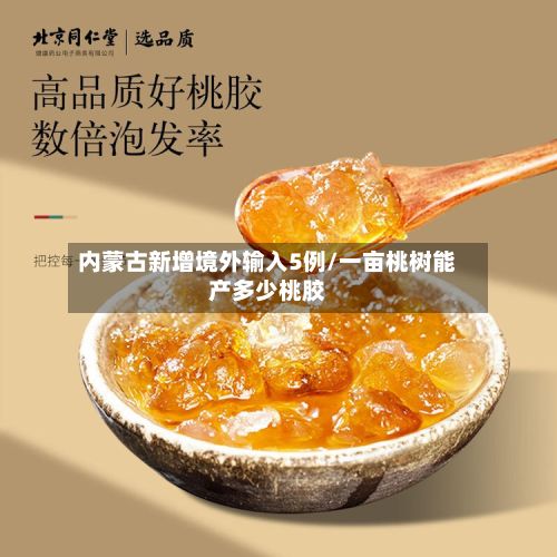 内蒙古新增境外输入5例/一亩桃树能产多少桃胶