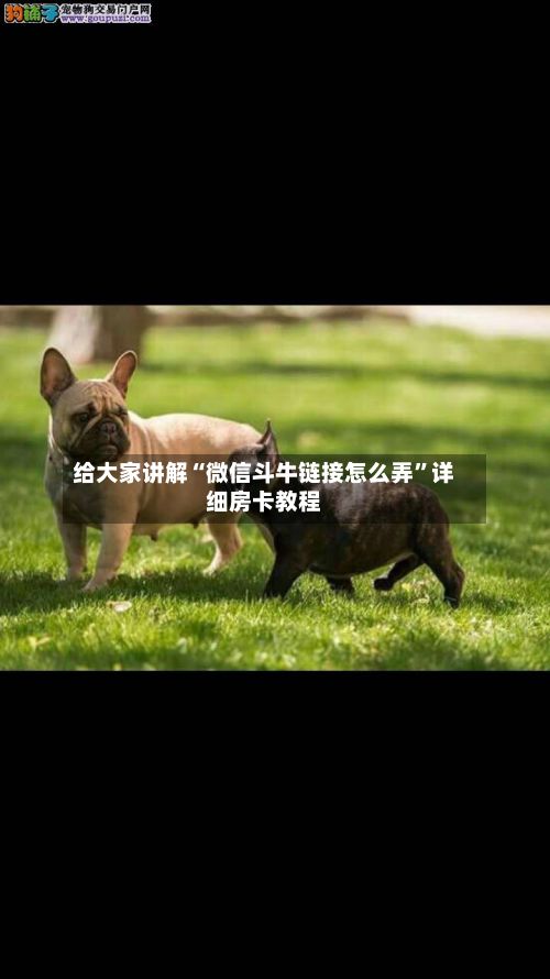 给大家讲解“微信斗牛链接怎么弄”详细房卡教程-第2张图片