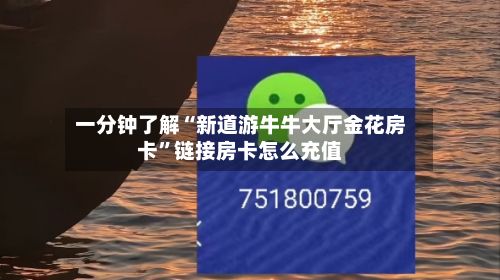 一分钟了解“新道游牛牛大厅金花房卡”链接房卡怎么充值-第2张图片