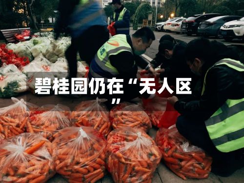 碧桂园仍在“无人区”-第2张图片
