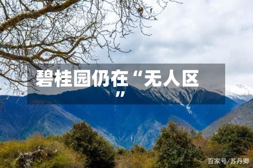 碧桂园仍在“无人区”-第3张图片